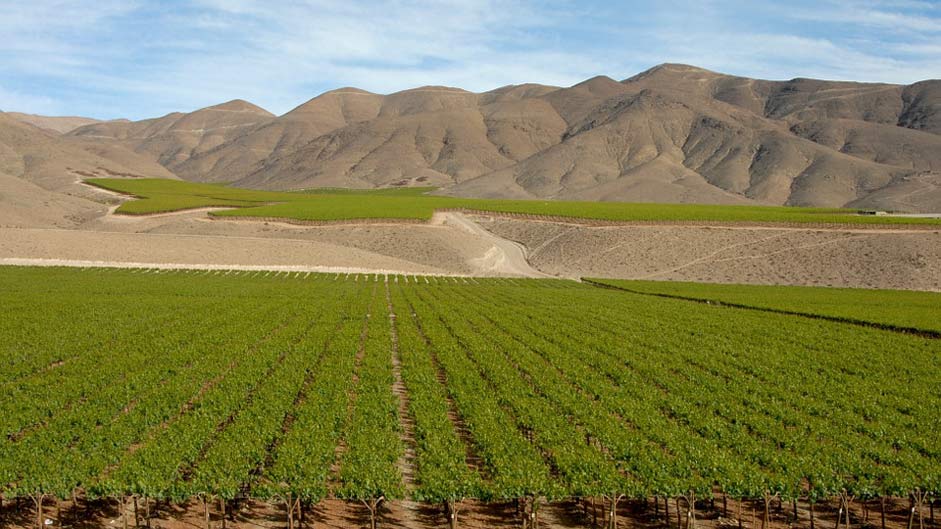 Landscape Andes Wine Chile