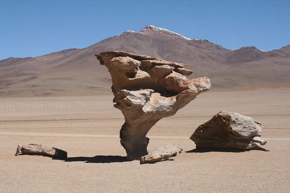 Chile Atacama Life Desert