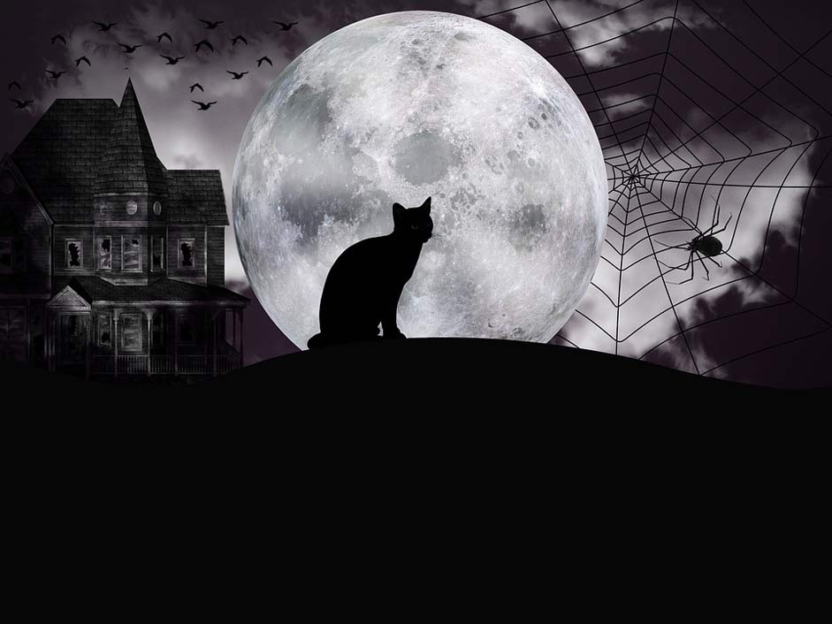 Full-Moon Fantasy Night Halloween