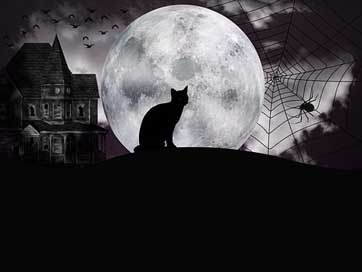 Halloween Full-Moon Fantasy Night Picture