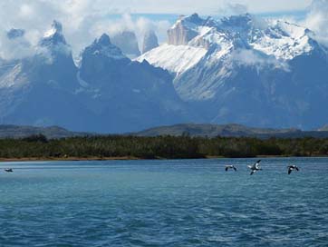 Torres-Del-Paine South-America Chile Patagonia Picture