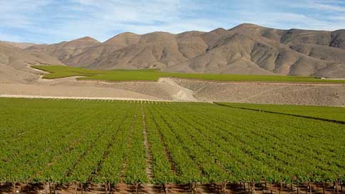Chile Landscape Andes Wine Picture