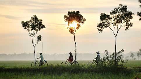 Bicycle-Riding China Asia Persons Picture