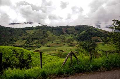 Colombia Landscape Mountains Coffee-Zone Picture