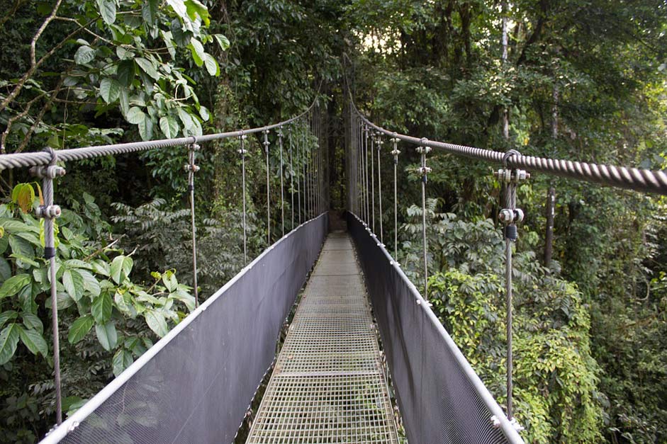  Costa-Rica Rain-Forest Bridge
