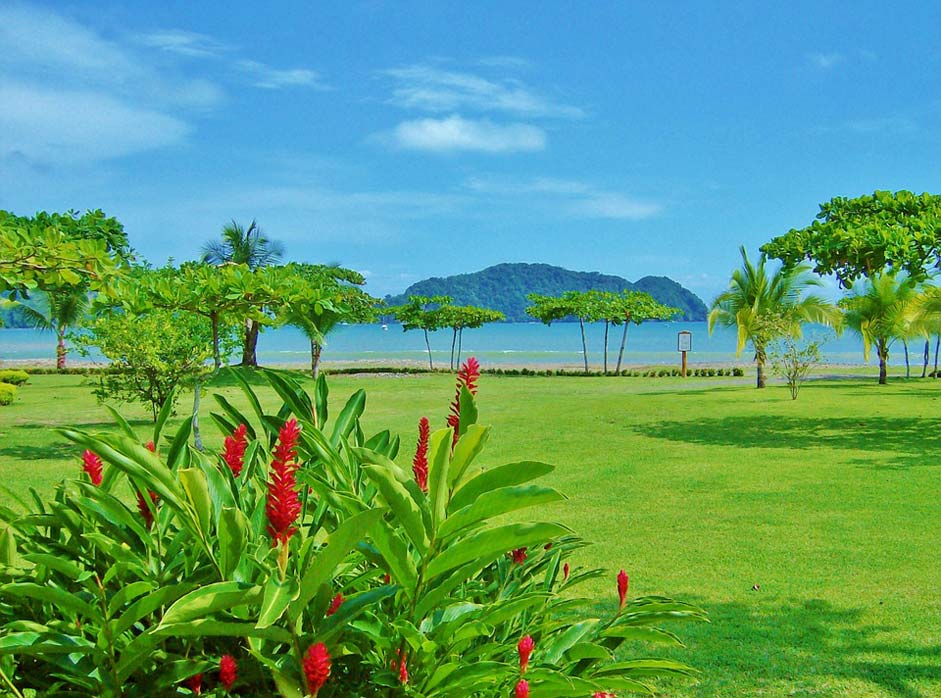 Green Outdoor Beach Costa-Rica