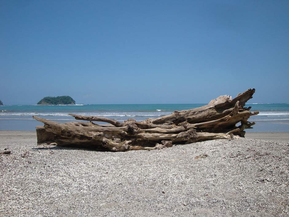 Wood Beach Pacific Costa-Rica