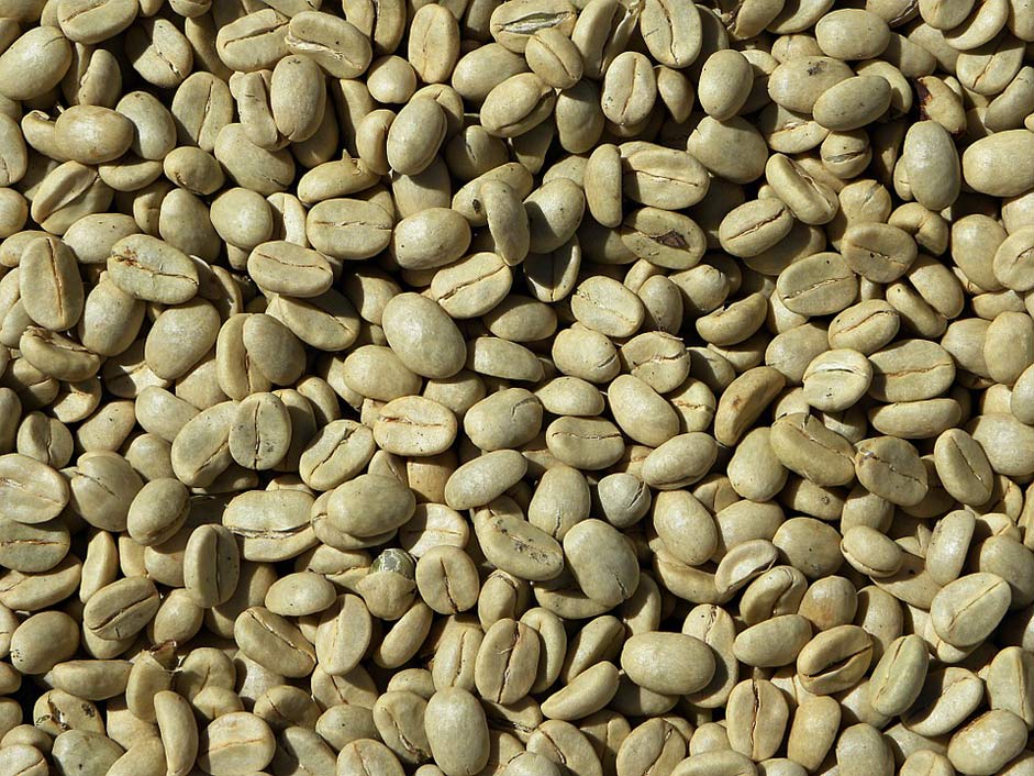 Arabica Coffee Coffee-Beans Green-Coffee