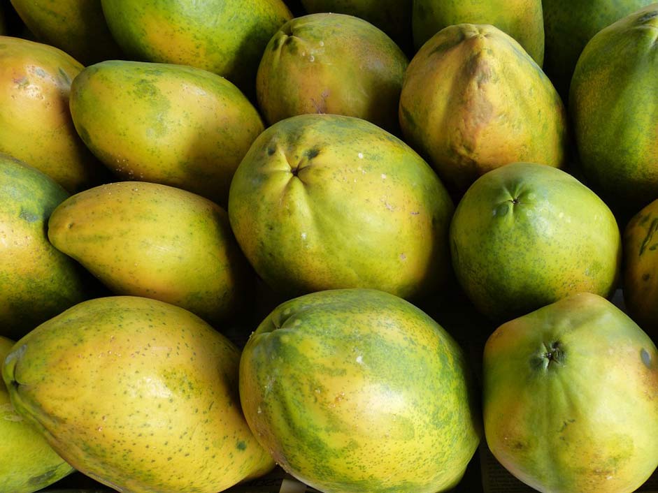 Exotic Fruit Fruits Papaya