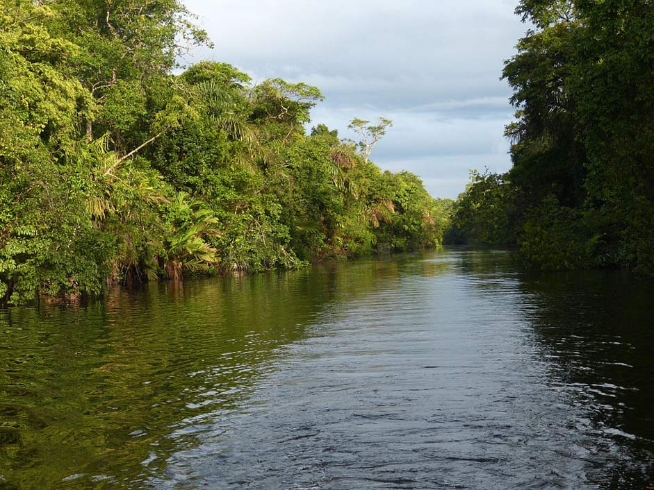 Central-America Costa-Rica Rainforest River