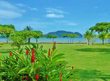 Costa-Rica Green Outdoor Beach Picture