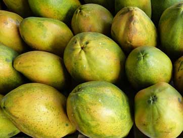 Papaya Exotic Fruit Fruits Picture