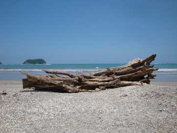 Costa-Rica Wood Beach Pacific Picture