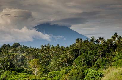 Volcano Jungle Palm-Trees Costa-Rica Picture