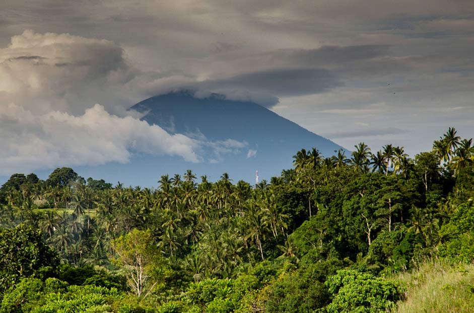 Jungle Palm-Trees Costa-Rica Volcano