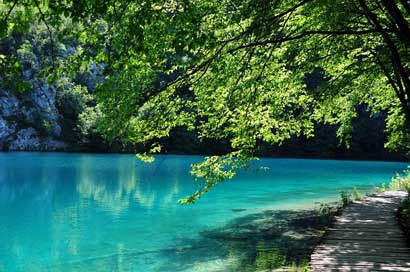 Plitvice-Lakes Green Water Croatia Picture