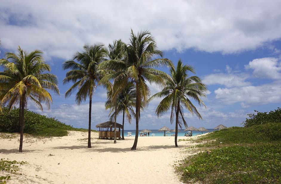 Palm-Trees Dream Sea Beach