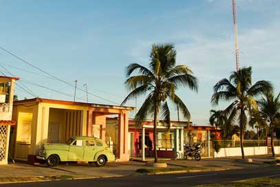 Cuba View Palm Car Picture