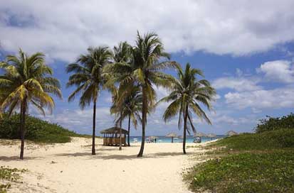 Beach Palm-Trees Dream Sea Picture