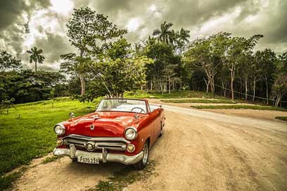 Cuba Forest Old-Car Oldtimer Picture
