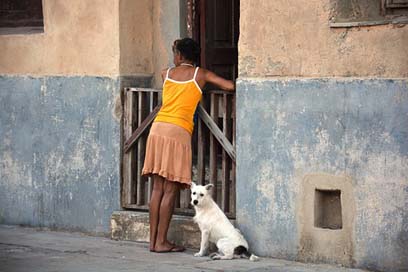 Woman Neighbor-Conversation Cuba Dog Picture