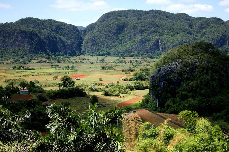 Nature Landscape Cuba Viales-Valley