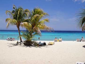 Beautiful-Beach Antilles Curacao Palm-Trees Picture