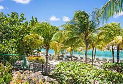 Caribbean Tropical Beach Curacao Picture
