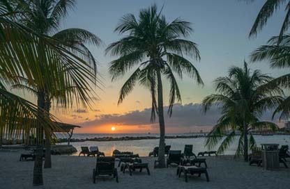 Sunset Sea Palm-Trees Caribbean Picture