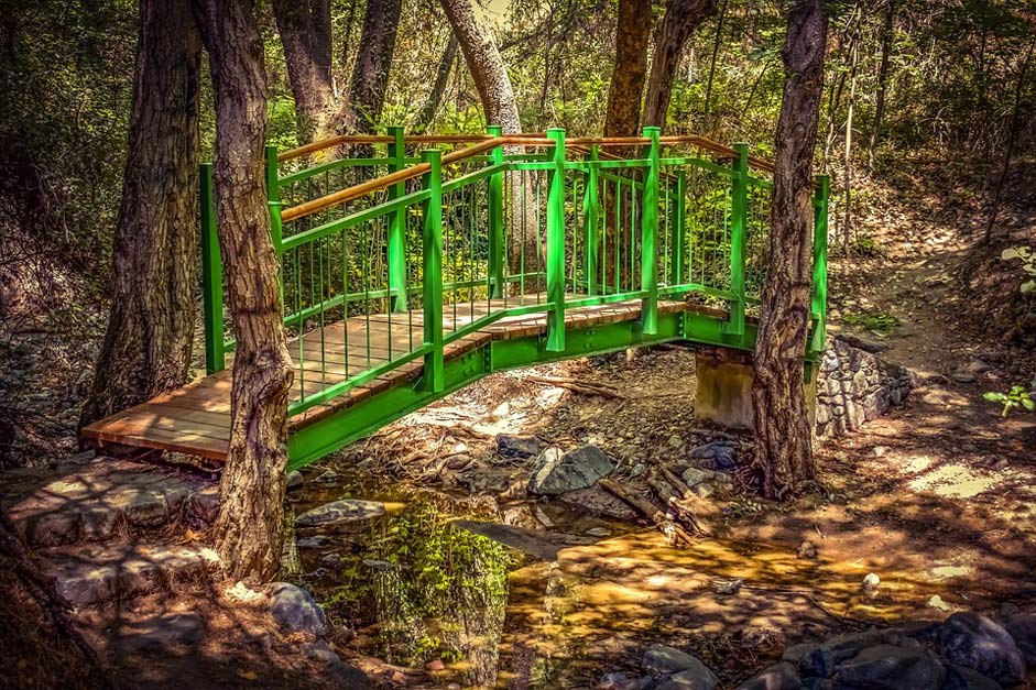 Trees Creek Wooden Bridge