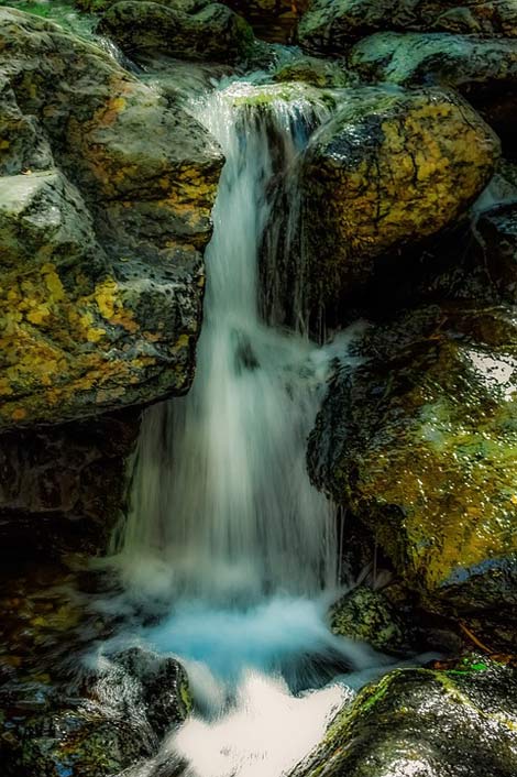 Nature Creek Water Stream