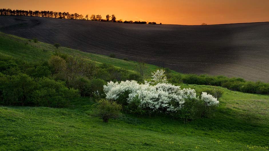 Czech-Republic Moravia Spring Landscape