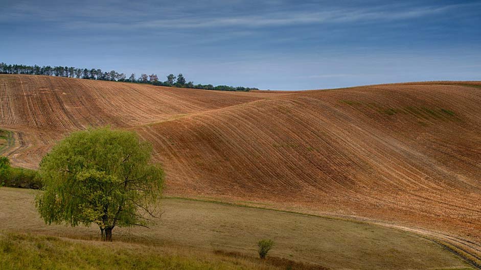 Landscape Field Czech-Republic Moravia