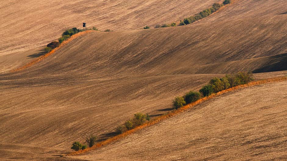 Field Landscape South-Moravia Moravia