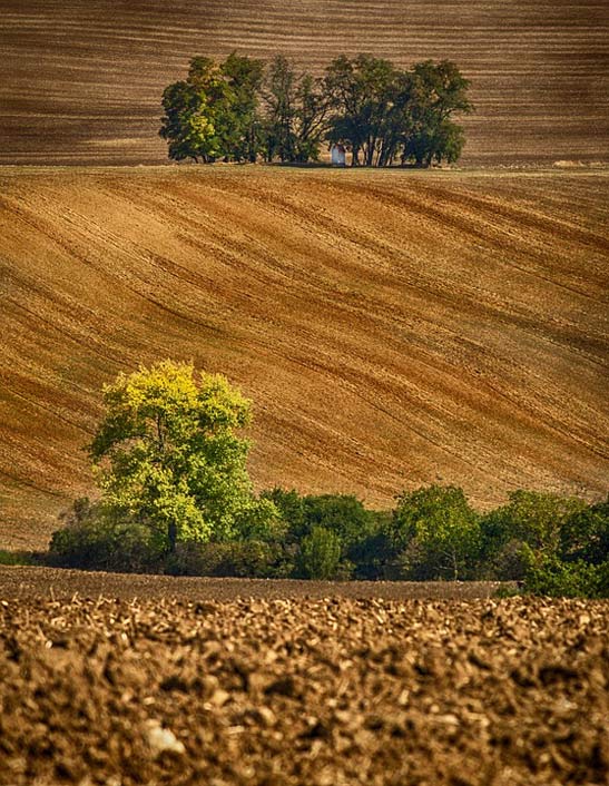Landscape Czech-Republic South-Moravia Moravia