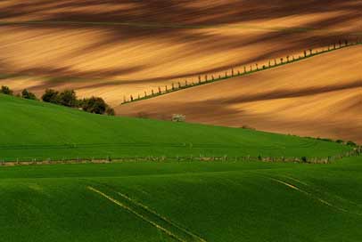Moravia Meadow Field South-Moravia Picture