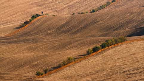 Moravia Field Landscape South-Moravia Picture