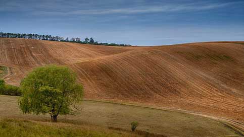Moravia Landscape Field Czech-Republic Picture