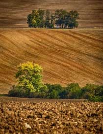 Moravia Landscape Czech-Republic South-Moravia Picture