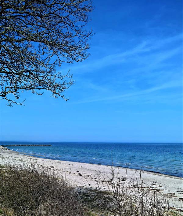 Sand-Beach Coast Denmark Baltic-Sea