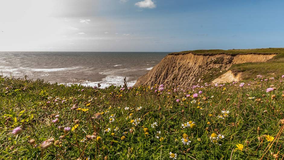 Coast Denmark Sea Cliff