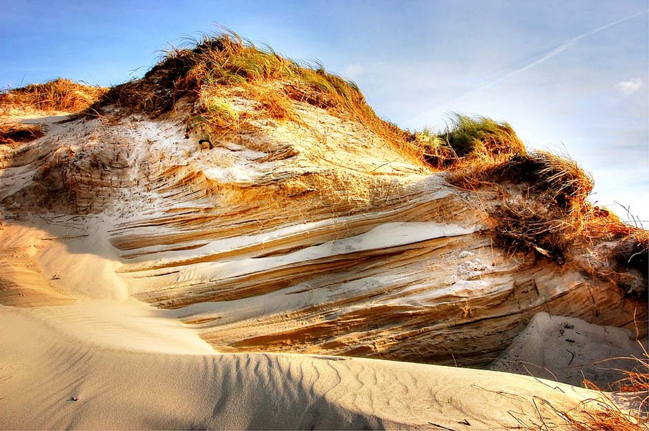 Nature Sea Beach Dune