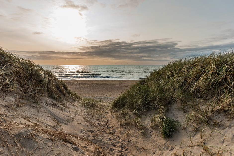 Sea North-Sea Beach Dunes