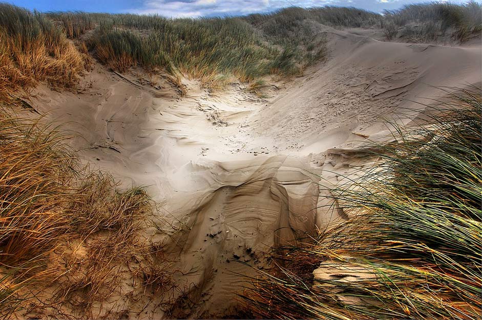 Nature Sea Beach Dunes