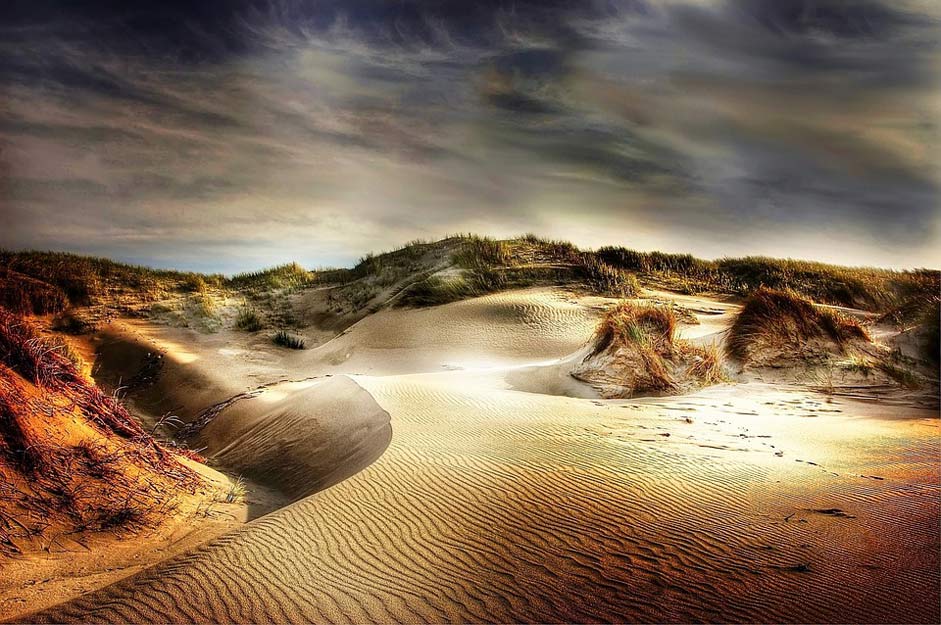 North-Sea Sand Beach Dunes