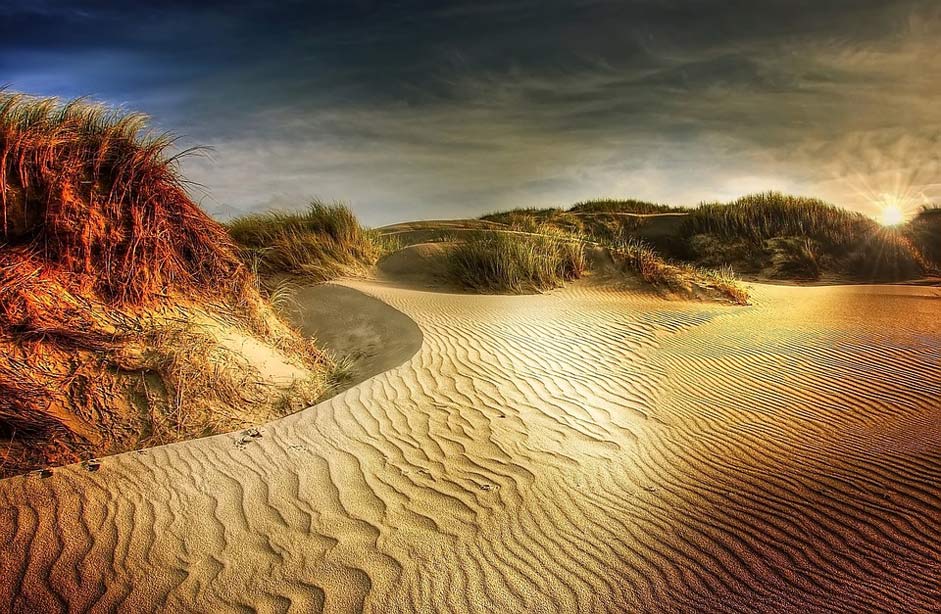 Sea North-Sea Beach Dunes