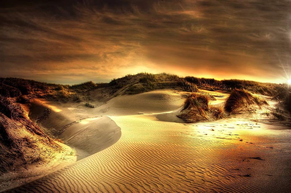Beach North-Sea Sea Dunes