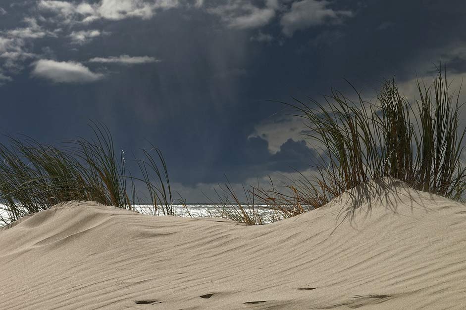 North-Sea Mood Nature Landscape