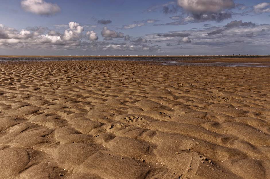 Northsea North-Sea Nature Landscape