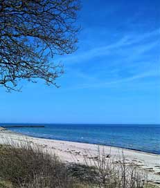 Baltic-Sea Sand-Beach Coast Denmark Picture